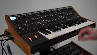 Moog Subsequent 37 Filtertypes HQ Audio [upl. by Oira]