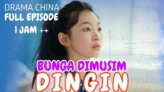 Full Episode Kerja Keras Untuk Sukses Subtitle Indonesia [upl. by Eelyk]