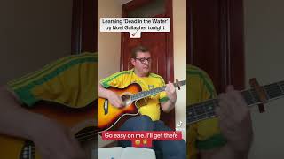 ‘Dead in the Water’ by Noel Gallagher  Cover 🎸 shorts popsinger fyp noelgallaghershfb britpop [upl. by Leigha]