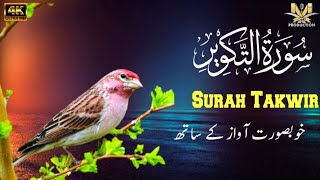 Listen Quran Recitation of SURAH AT TAKWIR سورۃ التکویر for Peace of Mind MI TILAWAT [upl. by Dewey]