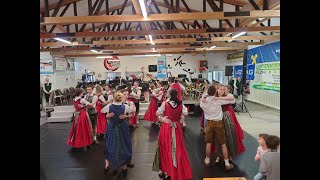 Sternpolka Auftritt beim Zeltfest der Union Ried in der Riedmark [upl. by Tearle604]