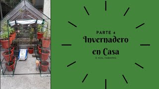 CÓMO TENER UN INVERNADERO PARA SEMBRAR TUS ALIMENTOS EN CASA PARTE 4 [upl. by Moitoso]