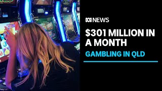 Queensland pokies players lose record 301 million in a month prompting calls for reform  ABC News [upl. by Lovett]