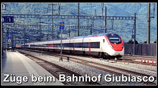 Zugsichtungen beim Bahnhof Giubiasco  Kanton Tessin  Schweiz 2023 [upl. by Issej]