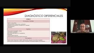 Webinar Vetilea Lipidosis en Pequeños Animales  Con Jorge Castro [upl. by Clorinde]