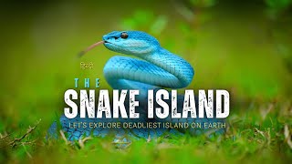 The Snake Island  Lets explore deadliest island on Earth – Hindi – Infinity Stream [upl. by Hannahsohs331]