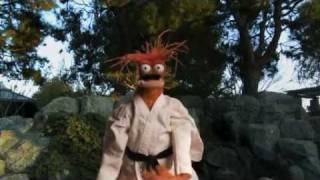 Shellfish Self Defense with Pepe the King Prawn [upl. by Rothstein]