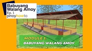 How to Raise Pigs Babuyang Walang Amoy or Odorless Pigpen Episode 1  Pinoy How To [upl. by Thun20]