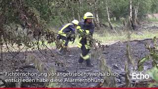 Flächenbrand bei Büttelborn [upl. by Dalli]