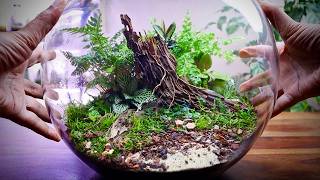 Fish Bowl Terrarium Anyone Can Build [upl. by Atinuhs]