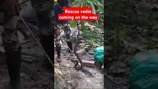 deadly snake rescueRUSSELLS VIPERHEMOTOXIC venomCHANDROBORA SAPBeasty boy [upl. by Ez105]