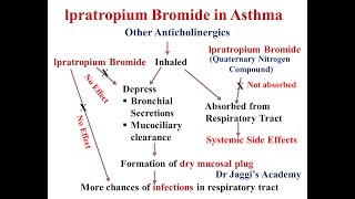 Anticholinergic DrugsPart 2Therapuetuc usesAnticholinergic DrugsParasympatholyticsAtropine [upl. by Nomaid]