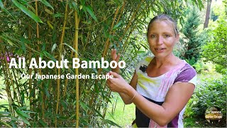 How to Grow Maintain and Control Bamboo  Our Japanese Garden Escape [upl. by Yelsnia]