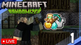 WHAT IS WHAT  Minecraft RANDOMIZER w Friends 1 [upl. by Lenoj]