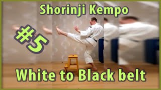 5Shorinji Kempo training practicetechniques Secrets strong kicks Keri AgeKinteki Geri武道少林寺拳法 [upl. by Yrram]