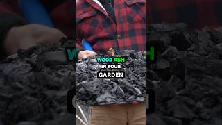 Why Charcoal Belongs In Your Garden  growth biochar garden ash gardening farm farmer [upl. by Hebrew]