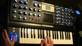 Minimoog Voyager Custom Patch Demo [upl. by Etterual]