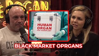 Joe Rogan amp Mariana van Zeller  Organs on the Black Markets 1938 [upl. by Cormac]