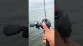 KastKing Brutus Baitcasting reel foryou castingreel fishing angler fish kastking [upl. by Nazarius]