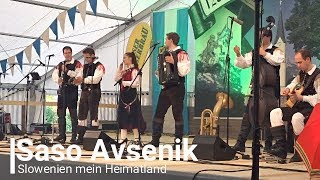 Saso Avsenik  Slowenien mein Heimatland [upl. by Jocelyne]