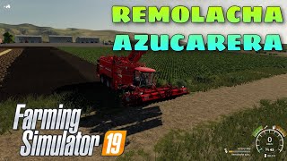 CÓMO HACER REMOLACHA AZUCARERA  Farming Simulator 19  Tutorial [upl. by Martinic310]