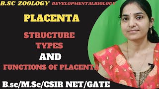 PlacentaStructure Functions And Types Of Placenta bsc 3rd yeardevelopmentalbiology [upl. by Shirlene]