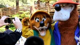 Brer Fox and Brer Bear in Critter Country [upl. by Yuh]