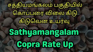 சத்தியமங்கலம் பகுதியில் கொப்பரை விலை கிடு கிடுவென உயர்வு விவசாயிகளுக்கு உற்சாகம்  Sathyamangalam [upl. by Lerud]