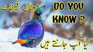 Things to Know about Himalayan Monal pheasant  Urdu  Hindi [upl. by Land999]