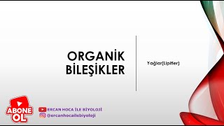 5 Organik Bileşikler YağlarLipitler Ercan Hoca İle Biyoloji [upl. by Iretak736]