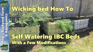 Self watering Wicking bed IBC beds with a few modifications [upl. by Innis560]