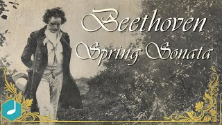 Beethoven  Spring Sonata Violin Sonata No 5 [upl. by Harleigh]