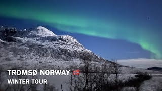 TROMSØ NORWAY 🇳🇴 WINTER TOUR CHASING NORTHERN LIGHTSSILENT WHALE WATCHING amp MORE [upl. by Kan817]