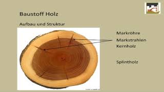 Die Vor und Nachteile für Holz als Baustoff [upl. by Ydolem]