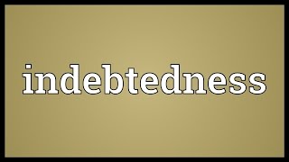 Indebtedness Meaning [upl. by Leffert]