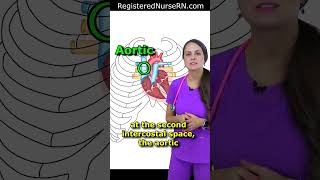 What HEART Auscultation POINT Is This Heart Sounds Quiz shorts [upl. by Accisej250]