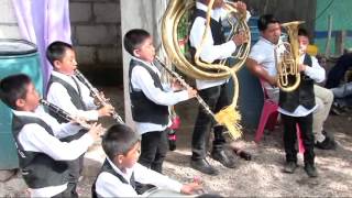 FIESTAS PATRONALES EN PLATANAR GUERRERO 2016 VIDEO 3 [upl. by Radman345]