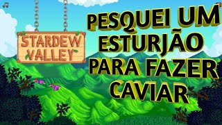 STARDEW VALLEY 15 GAMEPLAY PT BR XBOX SÉRIES PESQUEI UM ESTURJÃO PARA FAZER CAVIAR EP252 [upl. by Peti]