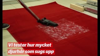 Råd amp Rön testar dammsugare [upl. by Ahtebbat]