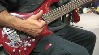 Traben 5 String Bass [upl. by Nevin428]