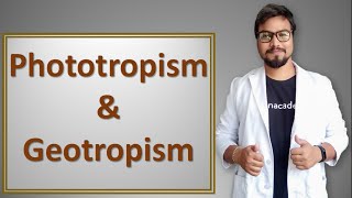 Phototropism and geotropism in hindi [upl. by Yzzik]