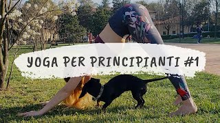 BREVE SEQUENZA YOGA PER PRINCIPIANTI 1 [upl. by Pine]