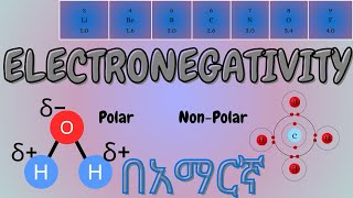 ELECTRONEGATIVITY  በ3 ደቂቃ ብቻ ፤ በጣም ቀላል [upl. by Reinke158]