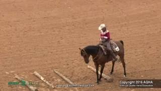 A Judges Perspective 2016 Select Ranch Riding World Champion [upl. by Takashi]