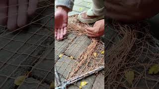 Catching chickens is so simple Chicken catching tool chicken catching net pigeon catching net [upl. by Notloc350]