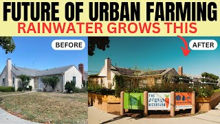 The Future Of Urban Farming LA MicroFarm Grows Food with Rainwater [upl. by Anev431]