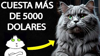 Los GATOS más CAROS del MUNDO 🥰  ¿Tendrias uno TAN caro 😱 mascotas gatos pets love [upl. by Meredi]