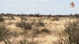 Namibia erleben  Teil 6  Lodges zum Wohlfühlen [upl. by Formenti]