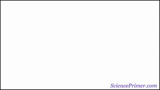 Boyles Law Calculations [upl. by Refotsirc]