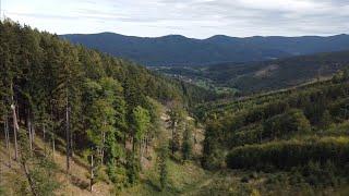 walk in the Beskydy mountainsпрогулка по горам Бескидам [upl. by Ritchie]